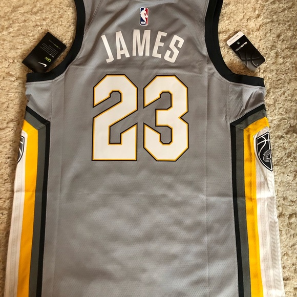 Lebron James Cleveland Cavs The Land Swingman Jersey NBA Basketball Retro King - Picture 6 of 8